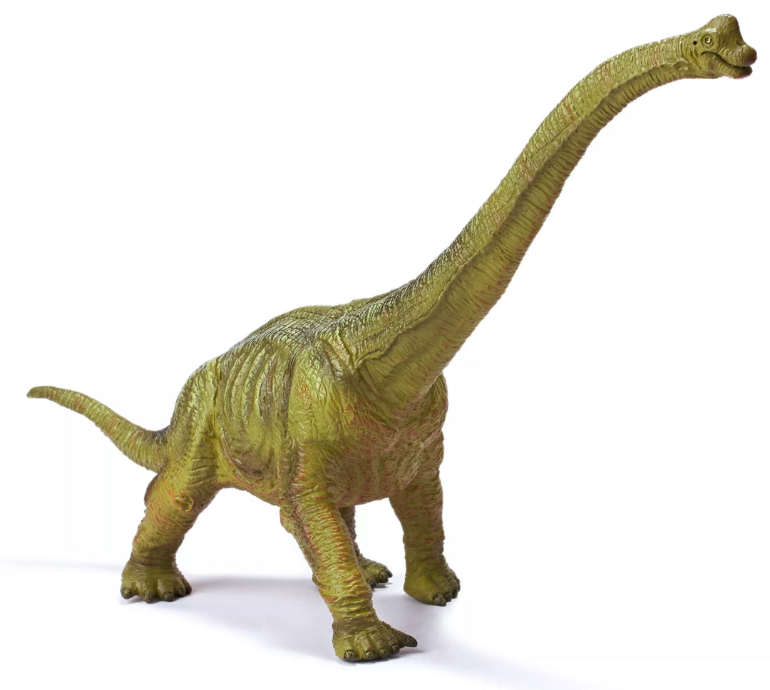 Brachiosaurus Dinosaur - #HolaNanu#NDIS #creativekids