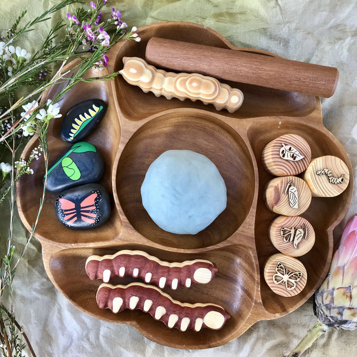 Butterfly Lifecycle Playdough Stamps - #HolaNanu#NDIS #creativekids
