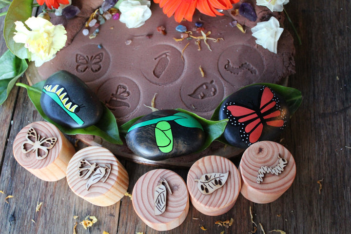 Butterfly Lifecycle Playdough Stamps - #HolaNanu#NDIS #creativekids
