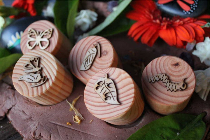 Butterfly Lifecycle Playdough Stamps - #HolaNanu#NDIS #creativekids
