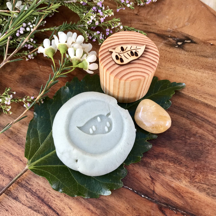 Butterfly Lifecycle Playdough Stamps - #HolaNanu#NDIS #creativekids