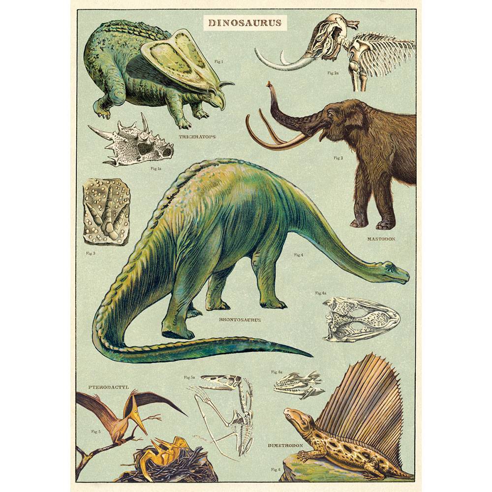 Cavallini Vintage poster - Dinosaurs P/U Only - #HolaNanu#NDIS #creativekids
