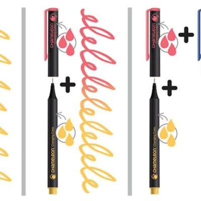 Chameleon Fineliner 24 Pen Bold Colours Set - #HolaNanu#NDIS #creativekids
