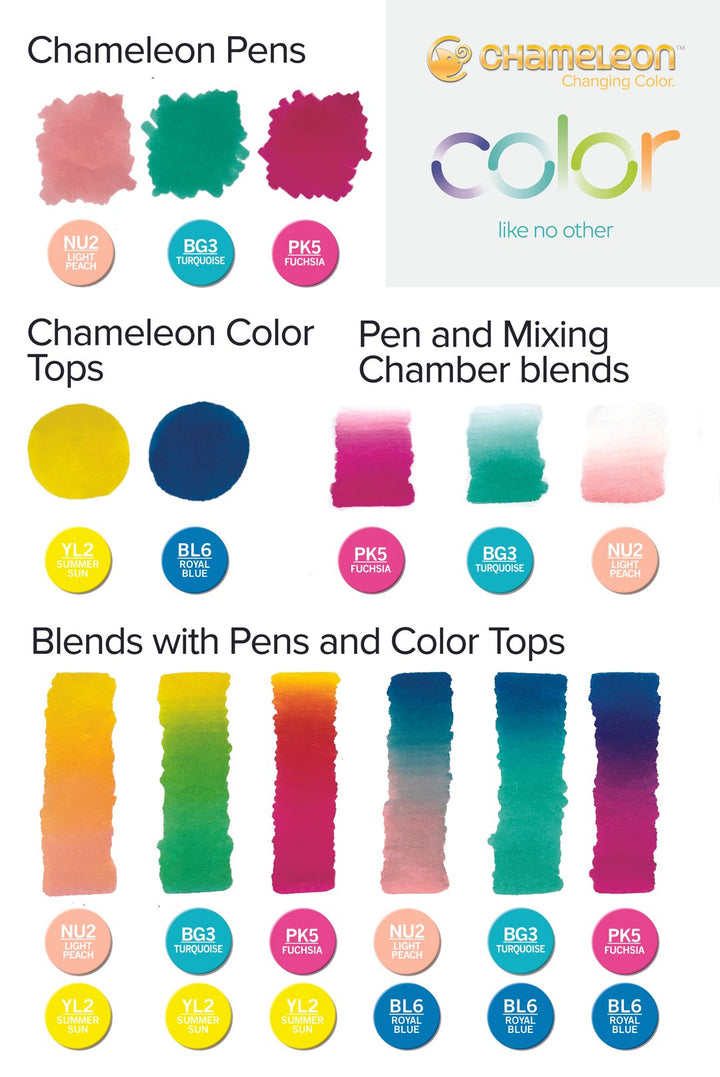 Chameleon Introductory Kit - #HolaNanu#NDIS #creativekids