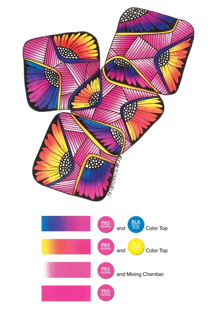 Chameleon Introductory Kit - #HolaNanu#NDIS #creativekids