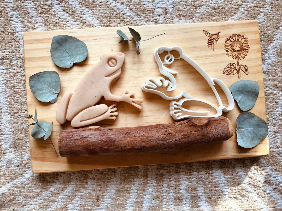 Frog Bio Cutter - #HolaNanu#NDIS #creativekids
