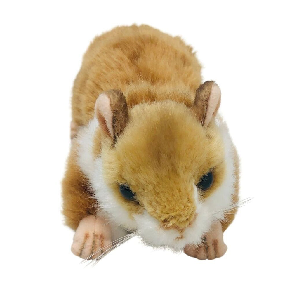 Hansa Hamster - #HolaNanu#NDIS #creativekids