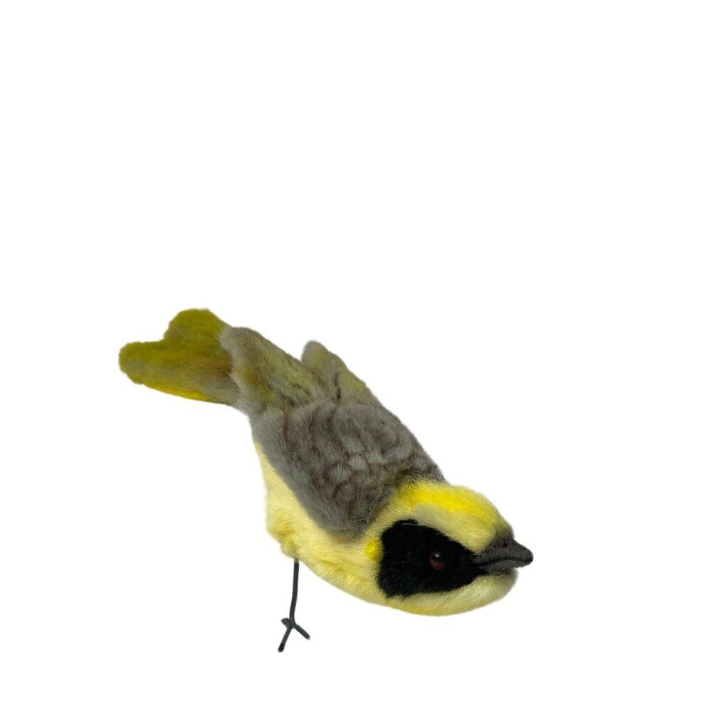 Hansa Helmeted Honeyeater Bird - #HolaNanu#NDIS #creativekids