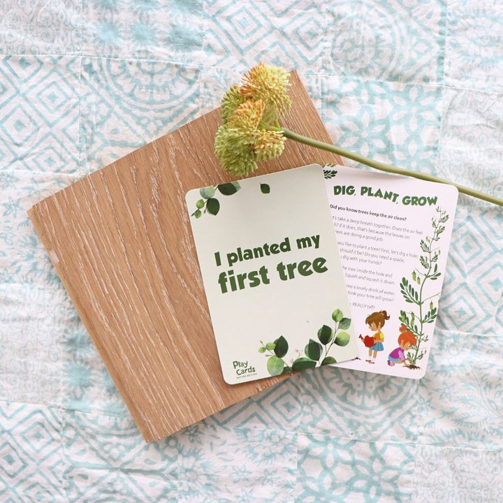 Jellystone Play Cards - Nature Edition - #HolaNanu#NDIS #creativekids