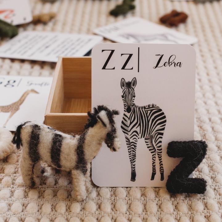 Jo Collier's "Nature's ABC" Flashcards - #HolaNanu#NDIS #creativekids