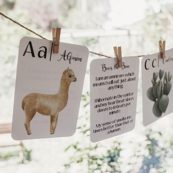 Jo Collier's "Nature's ABC" Flashcards - #HolaNanu#NDIS #creativekids