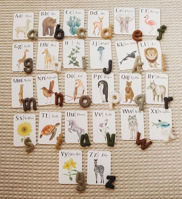 Jo Collier's "Nature's ABC" Flashcards - #HolaNanu#NDIS #creativekids