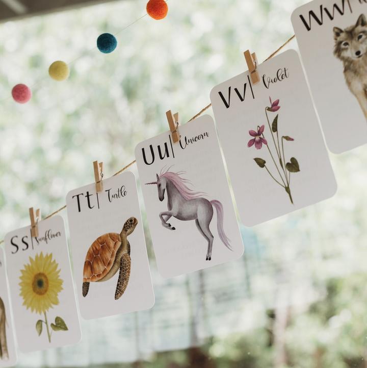 Jo Collier's "Nature's ABC" Flashcards - #HolaNanu#NDIS #creativekids