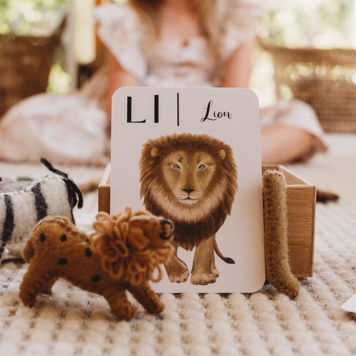 Jo Collier's "Nature's ABC" Flashcards - #HolaNanu#NDIS #creativekids