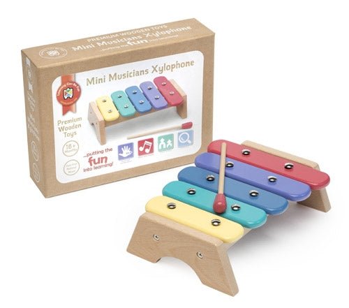 Mini Musicians Xylophone - #HolaNanu#NDIS #creativekids