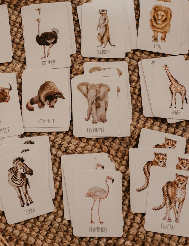 Modern Monty Africa Snap & Go Fish Game - #HolaNanu#NDIS #creativekids