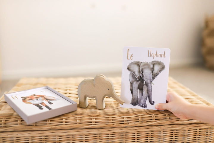 Modern Monty Animal Alphabet Flash Cards - #HolaNanu#NDIS #creativekids
