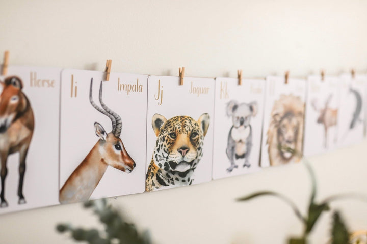 Modern Monty Animal Alphabet Flash Cards - #HolaNanu#NDIS #creativekids