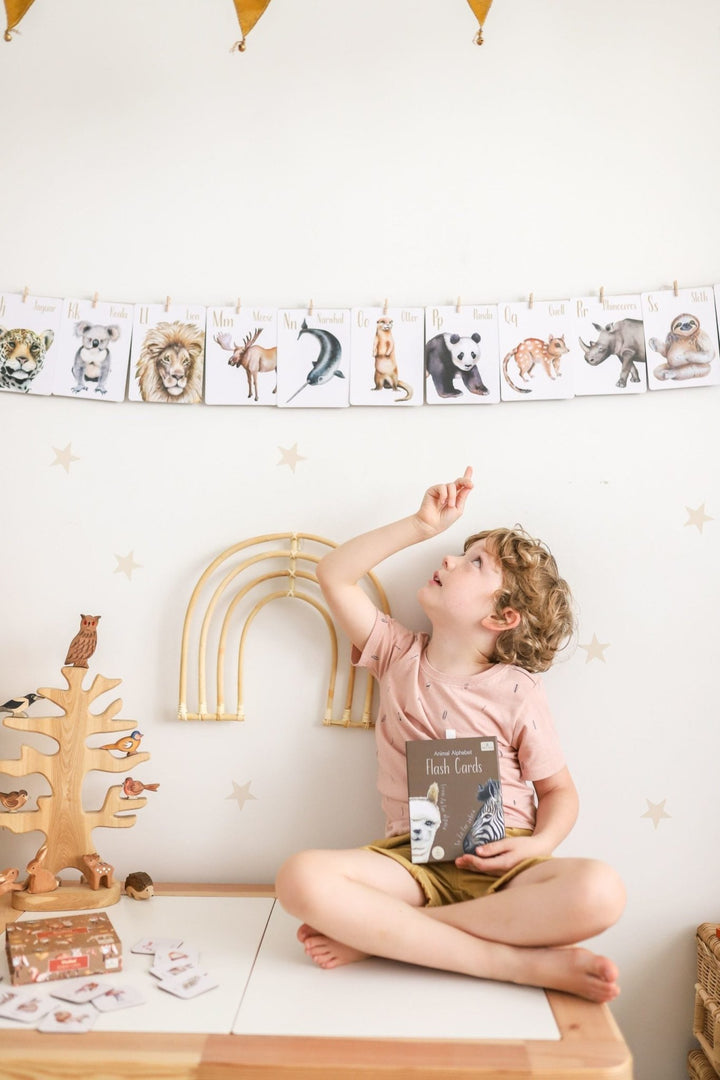 Modern Monty Animal Alphabet Flash Cards - #HolaNanu#NDIS #creativekids