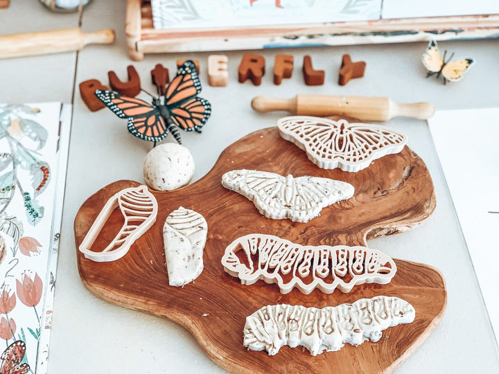 Monarch Butterfly Life Cycle Eco Cutter Set - #HolaNanu#NDIS #creativekids