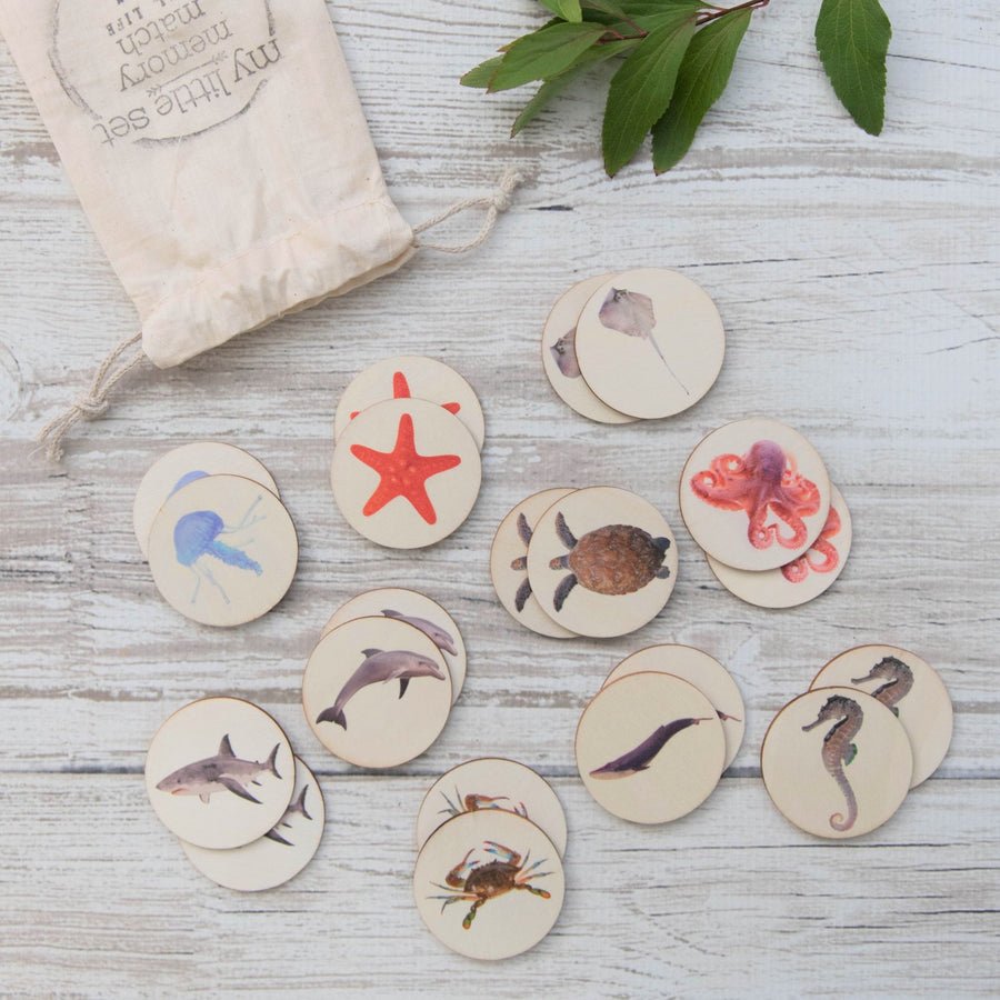 My Little Set Memory Match - Real Life Ocean Animals - #HolaNanu#NDIS #creativekids