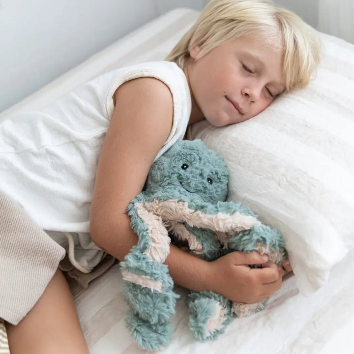NEW Mindful & Co Kids Ollie The Octopus Weighted Buddy - #HolaNanu#NDIS #creativekids