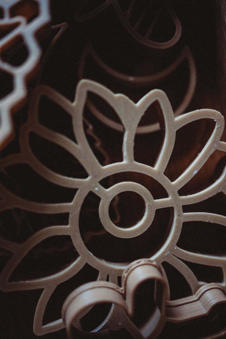 Sunflower Eco Cutter - #HolaNanu#NDIS #creativekids