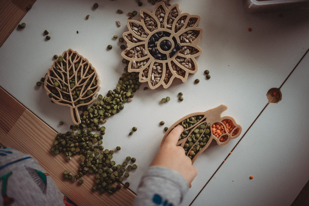 Sunflower Eco Cutter - #HolaNanu#NDIS #creativekids