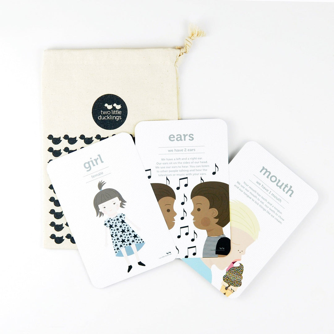 Flash Cards