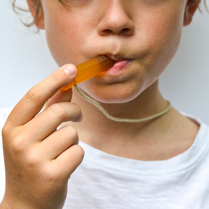 The Santo Natural Rubber Sensory Necklace