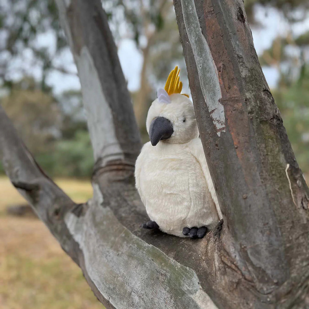 Cockatoo Soft Toy