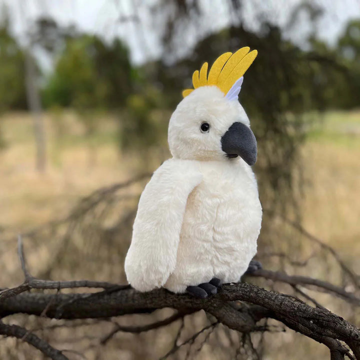 Cockatoo Soft Toy