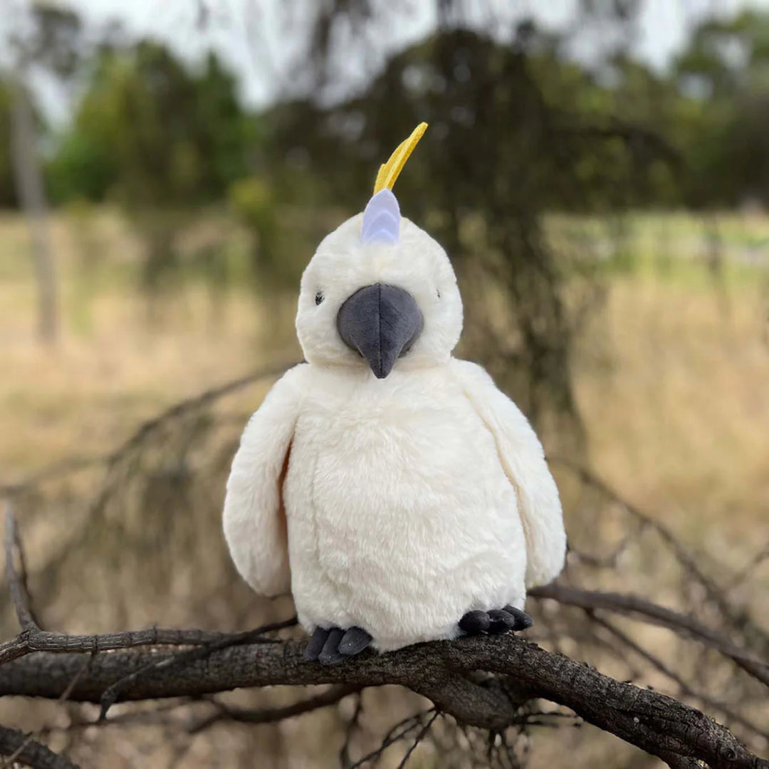 Cockatoo Soft Toy