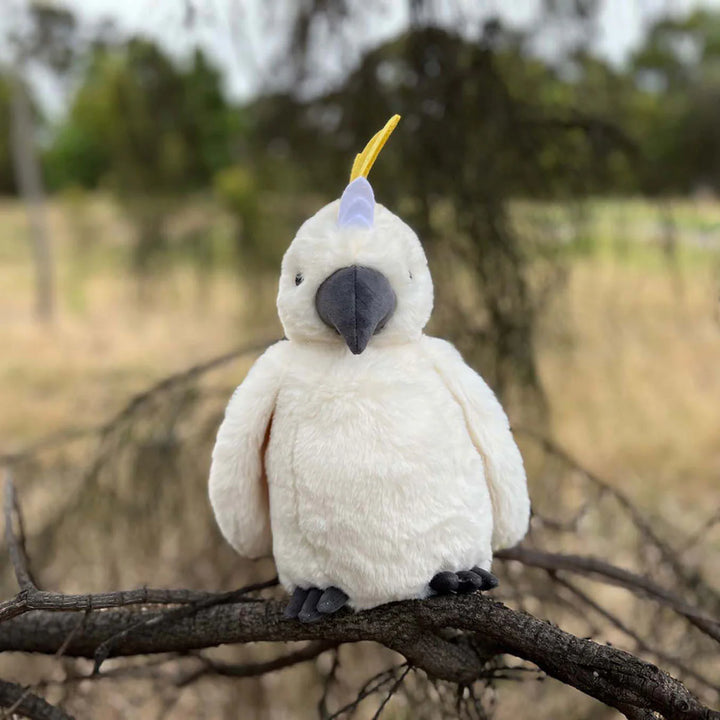 Cockatoo Soft Toy