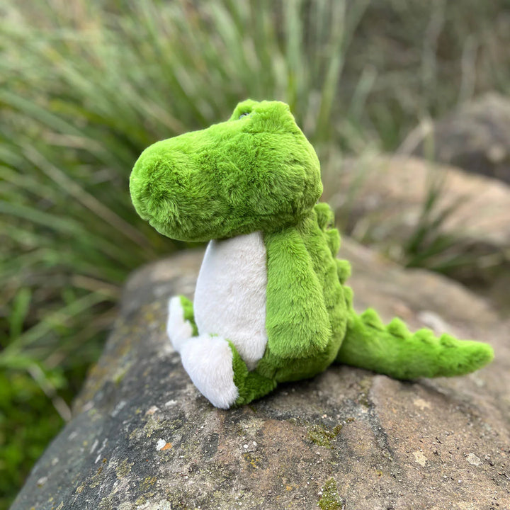 Crocodile Soft Toy