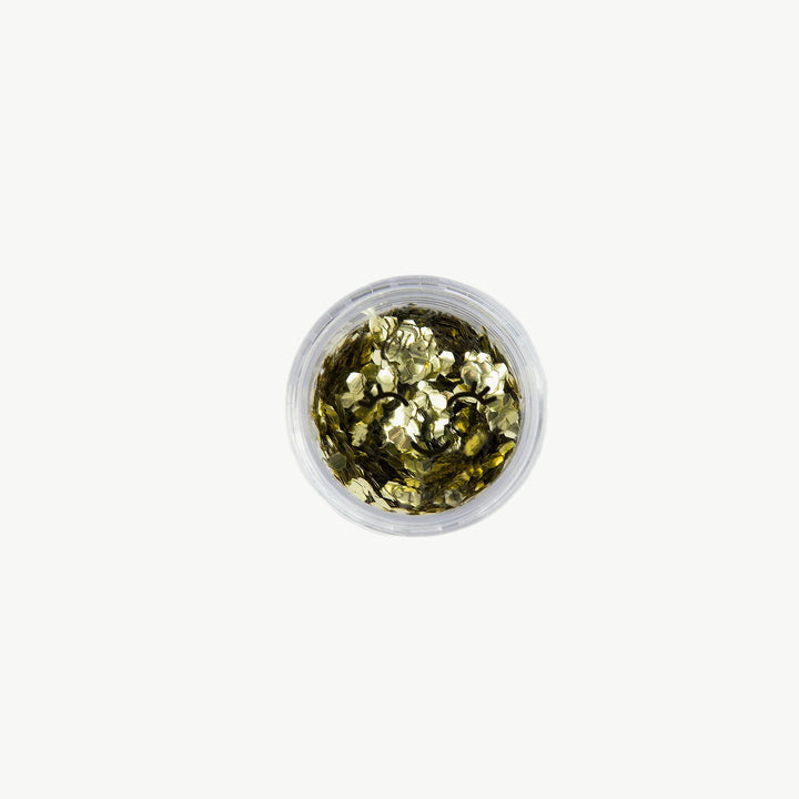 Biodegradable Glitter 10 g