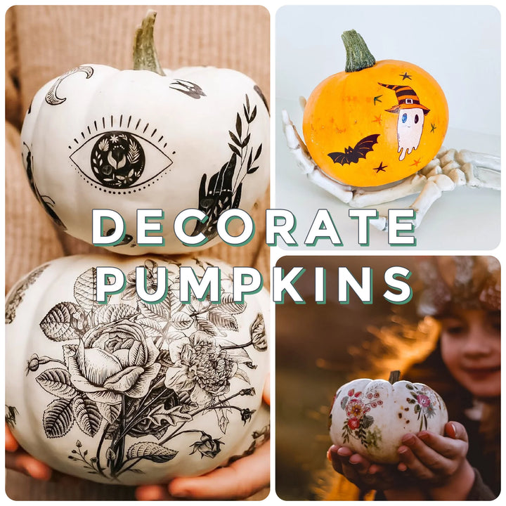 Ducky Street Temporary Tattoos - Surprise Halloween Bundle