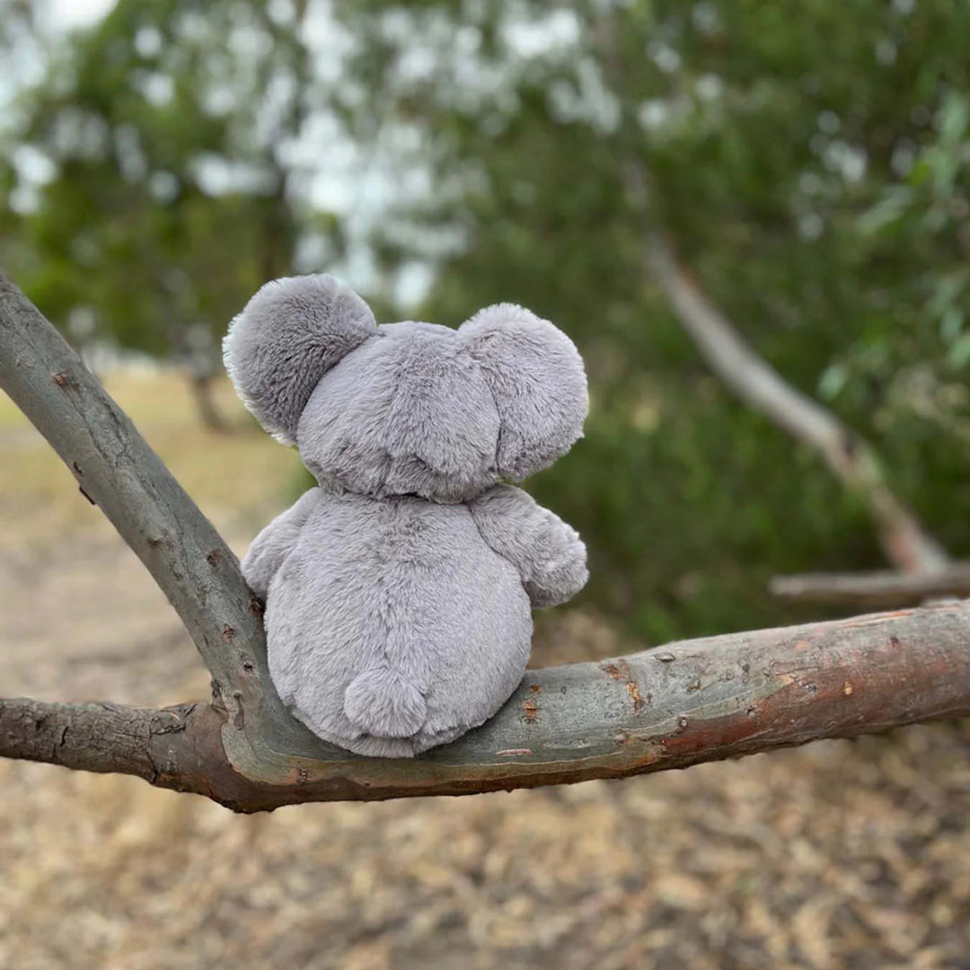 Koala Soft Toy