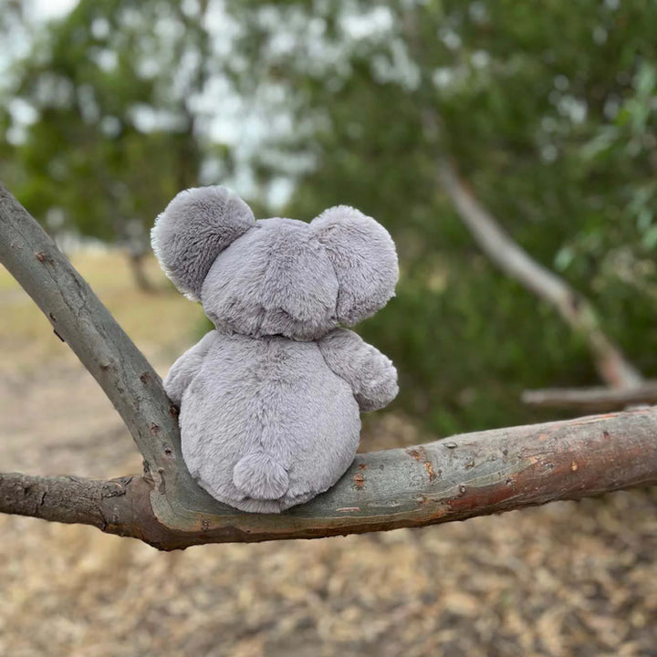 Koala Soft Toy