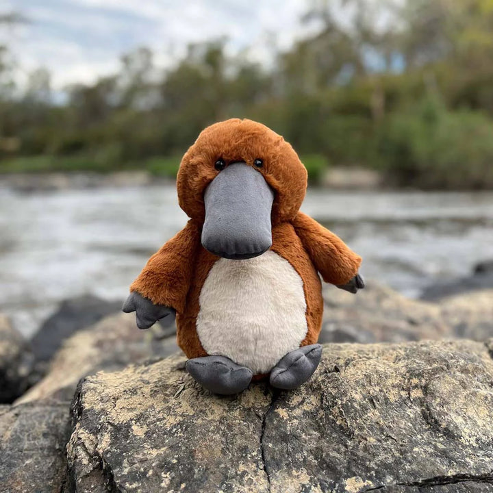 Platypus Soft Toy