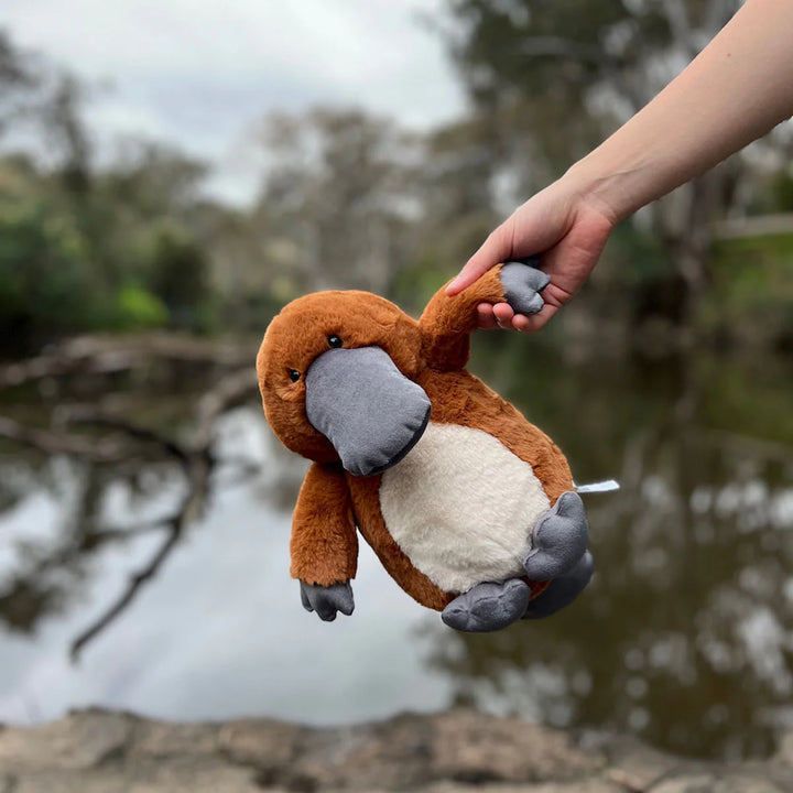 Platypus Soft Toy