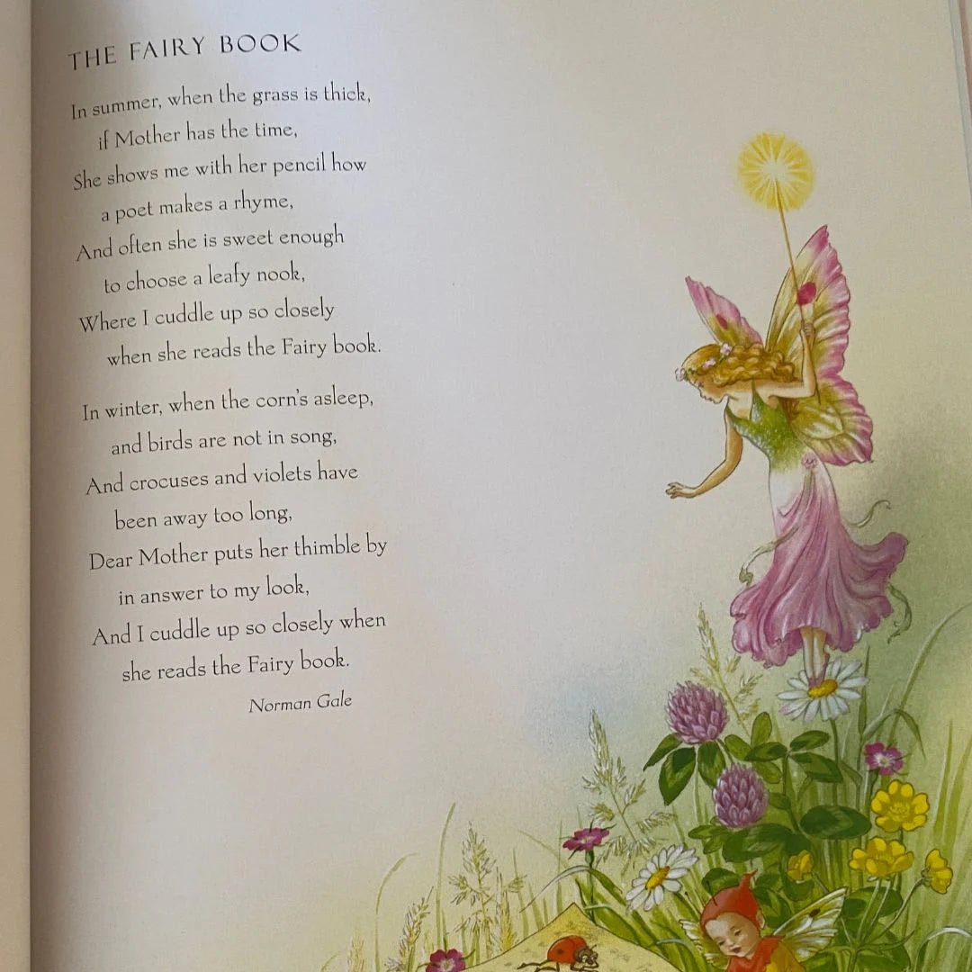 Shirley Barber Fairy Book - #HolaNanu#NDIS #creativekids