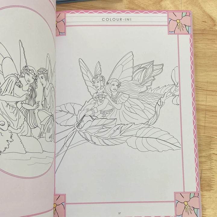 Shirley Barber's Favourite Fairy Folk Activity Book - #HolaNanu#NDIS #creativekids