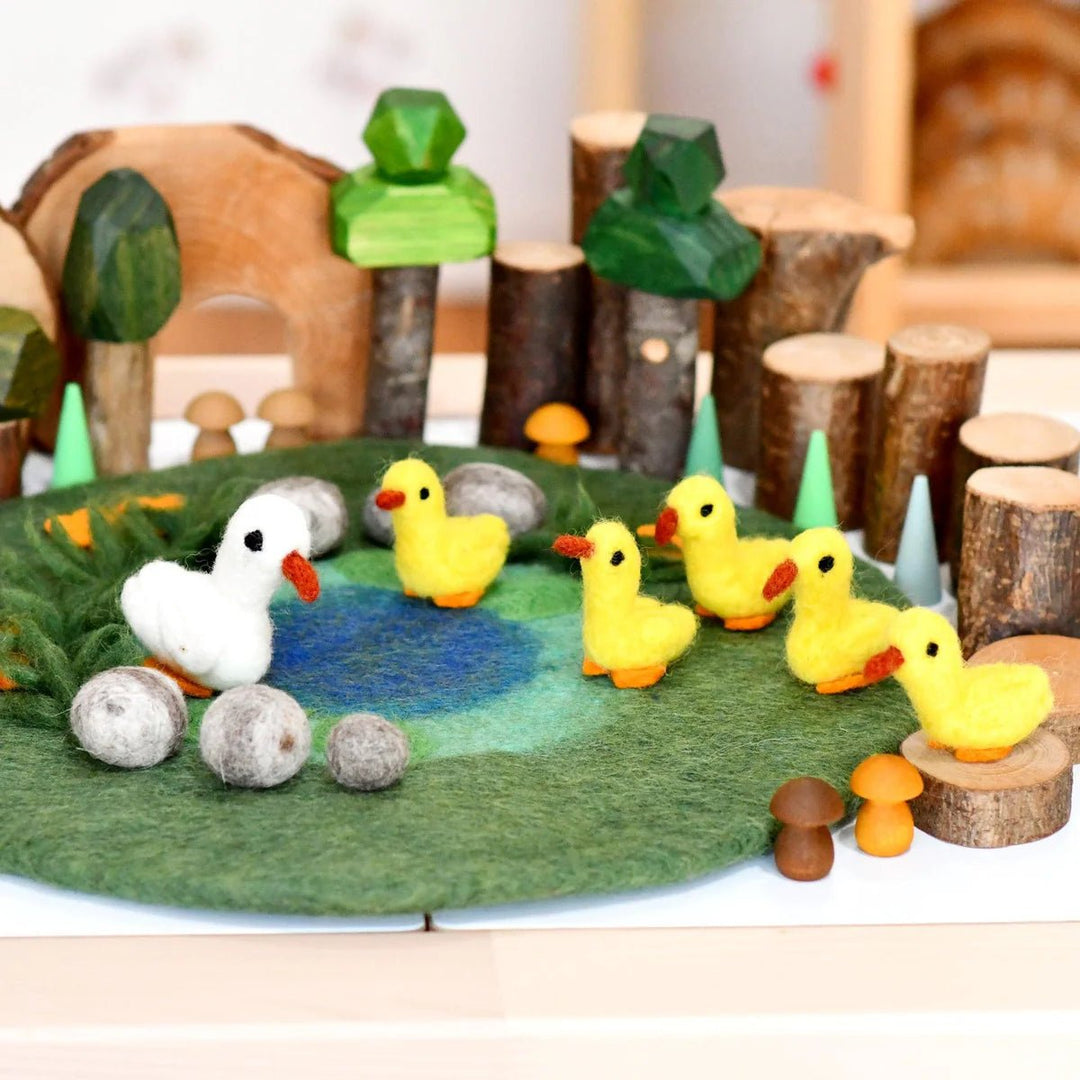 Tara Treasures Duck Pond with 6 Ducks Play Mat Playscape - #HolaNanu#NDIS #creativekids