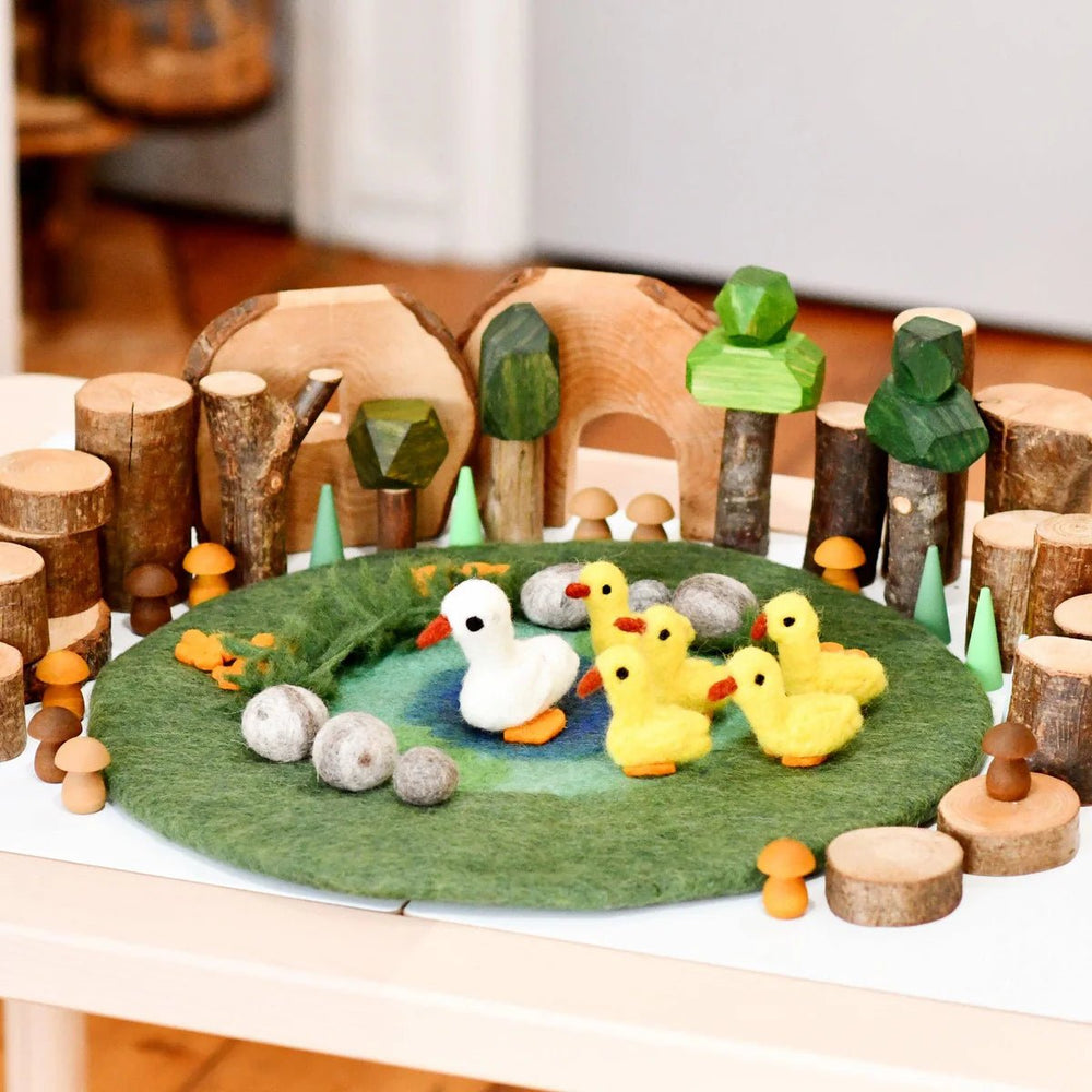 Tara Treasures Duck Pond with 6 Ducks Play Mat Playscape - #HolaNanu#NDIS #creativekids