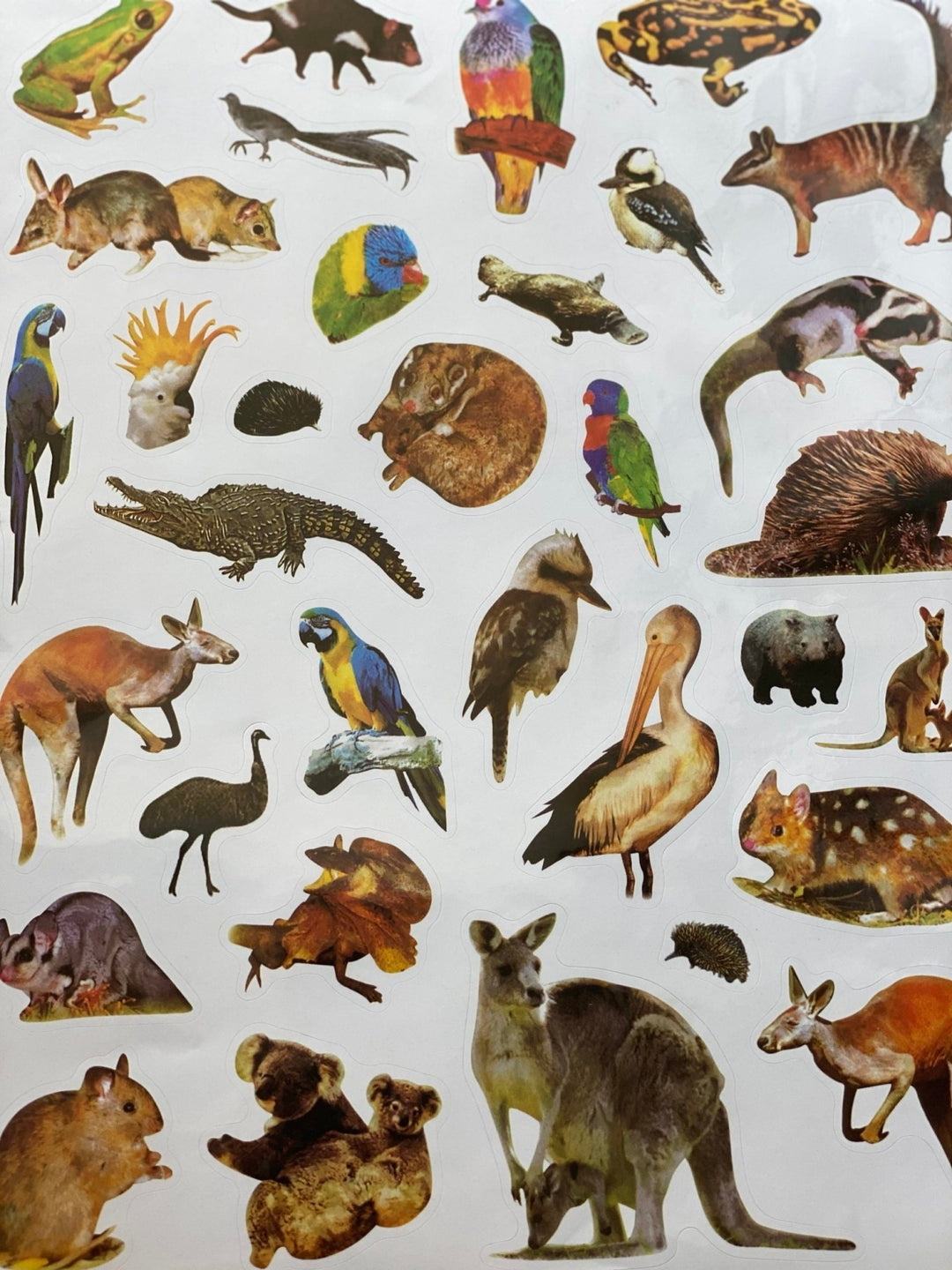 Australian wild animals glittered stickers - #HolaNanu#NDIS #creativekids