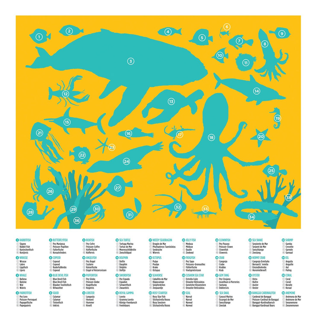 Crocodile Creek 36 Animal Puzzle 100 pc - Ocean Animals - #HolaNanu#NDIS #creativekids