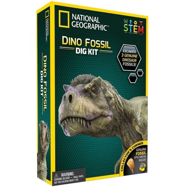 Dino Fossil Dig Kit - #HolaNanu#NDIS #creativekids
