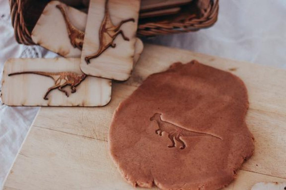 Dinosaur Fossil Stamps - #HolaNanu#NDIS #creativekids