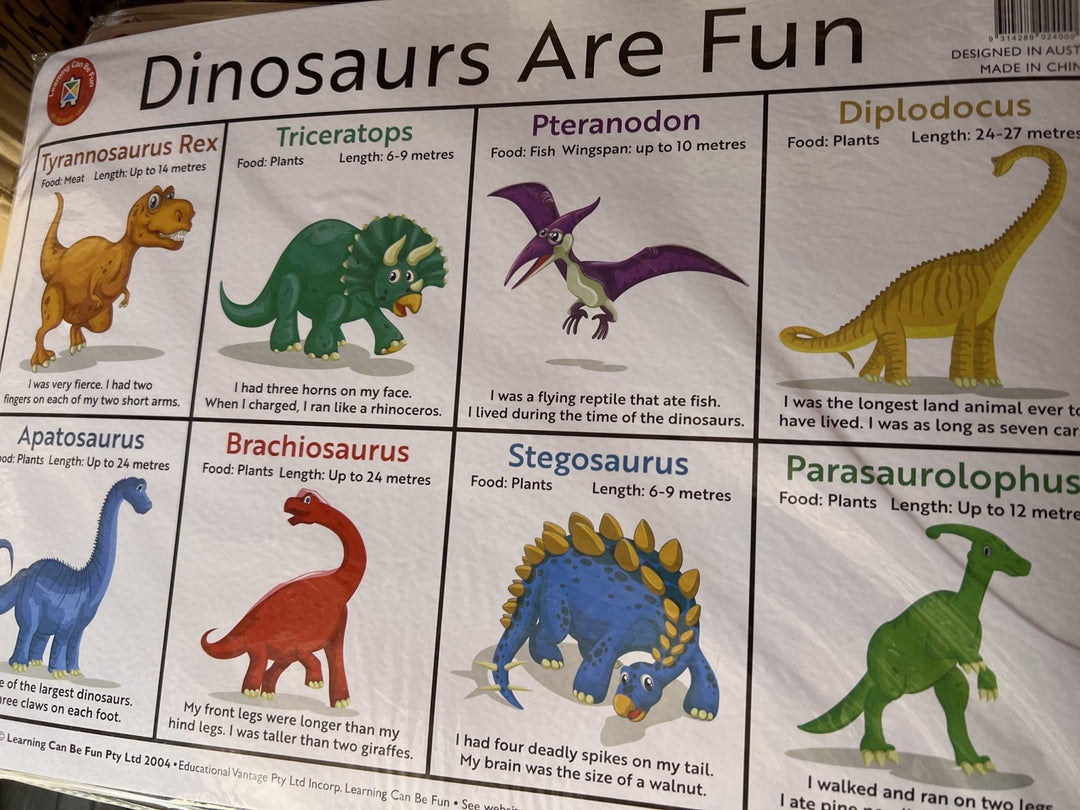Dinosaurs Are Fun Placemat - #HolaNanu#NDIS #creativekids
